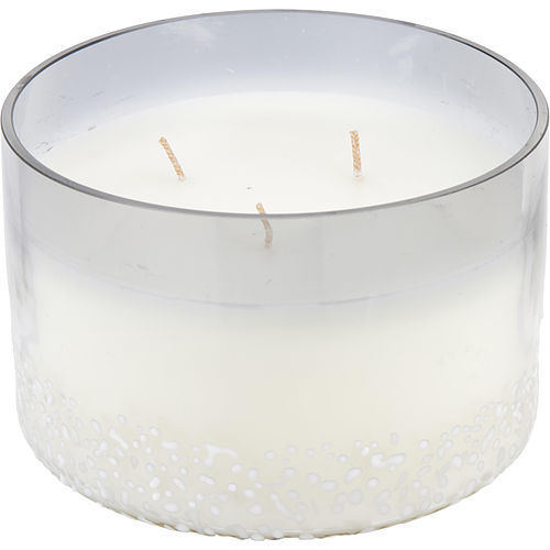 BALSAM & BIRCH SCENTED by VALE SOY WAX BLEND CANDLE - 28 OZ. BURNS APPROX. 80 HRS.