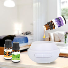Load image into Gallery viewer, 6-Bottle Therapeutic Aromatherapy Essential Oils
