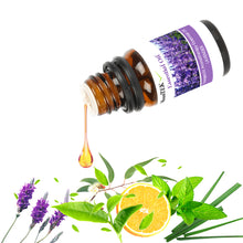 Load image into Gallery viewer, 6-Bottle Therapeutic Aromatherapy Essential Oils
