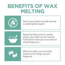 Load image into Gallery viewer, Flippin&#39; Happy Scented Soy Wax Melts for Electric Wax Warmers, Tart Burners, Candle Warmers and Melters, Organic 100% Soy Wax Melts, Wax Cubes, and Wax Bars (Volcano)
